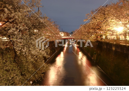 石神井川の桜並木ライトアップ（東京都板橋区） 123225524