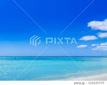 夏・海・ビーチイメージ ハワイ 夏・海・ビーチイメージ ハワイ 123225777