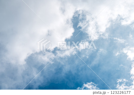 春の空 青空 晴れ 2月 【神奈川県 伊勢原市】 123226177