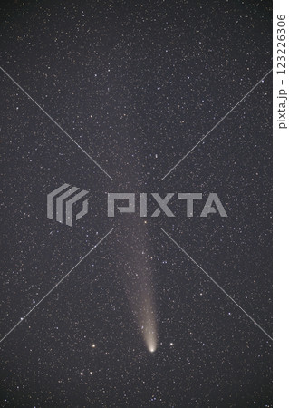 紫金山・アトラス彗星(出雲市) 紫金山・アトラス彗星(出雲市) 123226306