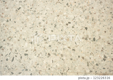 ベネチアのテラゾでできた床（背景素材・テキストスペース） 123226316