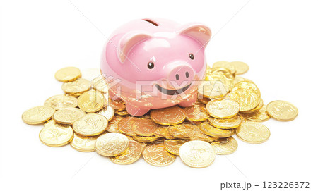 金貨に囲まれた豚の貯金箱 123226372