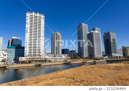 【横浜】新高島のビル群 123226464