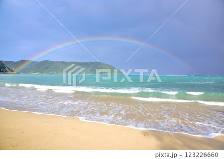 奄美大島　雨上がりの青空と海に架かる虹 123226660