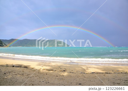 奄美大島　雨上がりの青空と海に架かる虹 123226661