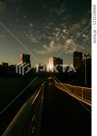 隅田川の永代橋と夕陽の輝き (東京・夜の入口) 隅田川の永代橋と夕陽の輝き (東京・夜の入口) 123226668