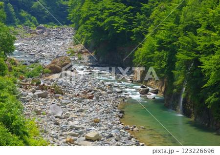 夏の秋山郷の中津川 夏の秋山郷の中津川 123226696