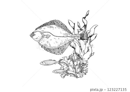 Fish flounder, Coral Reefs, and Flowing Seaweed black white vector Ocean Life illustration. Hand Drawn engraving Marine creatures. Flatfish and sea plants monochrome drawing for Design scrapbooking. 123227135