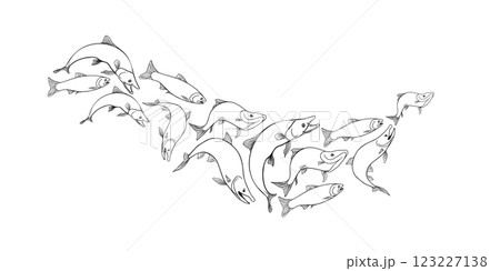 School of fish salmon black white vector illustration. Shoal trout silhouette hand drawn. Nerka sea fish painted linear. Sockeye drawing in monochrome. Design element for package, label, sign board. School of fish salmon black white vector illustration. Shoal trout silhouette hand drawn. Nerka sea fish painted linear. Sockeye drawing in monochrome. Design element for package, label, sign board. 123227138