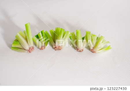 栄養の宝庫　ホウレンソウの根元 123227430