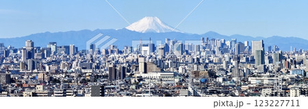 「東京都」東京ビル群と富士山の風景 都市風景 「東京都」東京ビル群と富士山の風景 都市風景 123227711