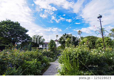 港の見える丘公園の夏 港の見える丘公園の夏 123228023