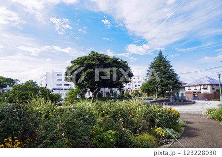 港の見える丘公園の夏 港の見える丘公園の夏 123228030