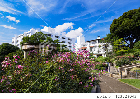 港の見える丘公園の夏 港の見える丘公園の夏 123228043