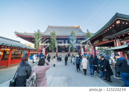 「東京都」浅草浅草寺 本堂 「東京都」浅草浅草寺 本堂 123228239