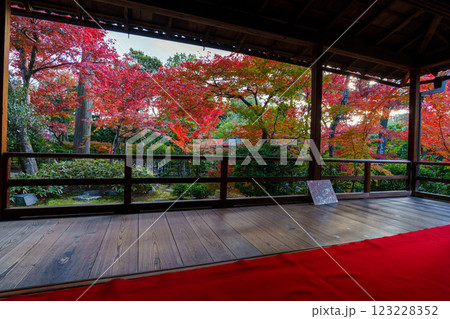 和室から眺める紅葉の庭園　大法院 123228352