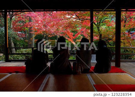 和室から眺める紅葉の庭園 大法院 和室から眺める紅葉の庭園 大法院 123228354