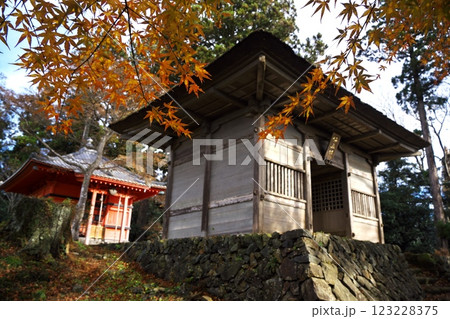 秋の松島四大観　紅葉に囲まれ麗観に建つ富山観音 123228375