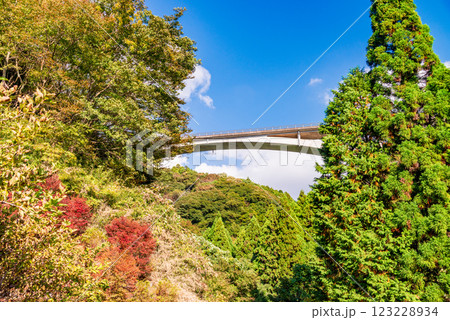 【静岡県】秋の須津川渓谷・渓谷橋(バンジージャンプ台) 【静岡県】秋の須津川渓谷・渓谷橋(バンジージャンプ台) 123228934