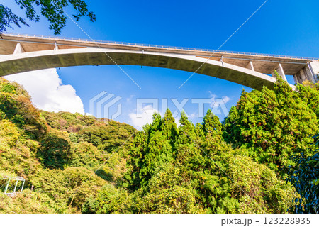 【静岡県】秋の須津川渓谷・渓谷橋（バンジージャンプ台） 123228935