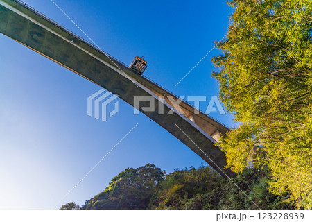 【静岡県】秋の須津川渓谷・渓谷橋（バンジージャンプ台） 123228939