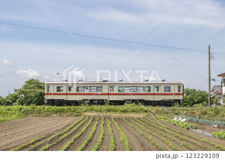 関東鉄道竜ヶ崎線の風景 関東鉄道竜ヶ崎線の風景 123229109
