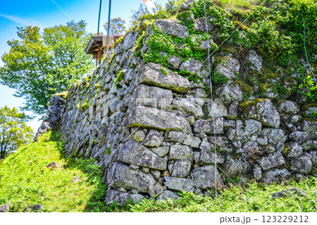 【続日本100名城】初夏の有子山城　主郭北西部の石垣　兵庫県豊岡市出石町 123229212
