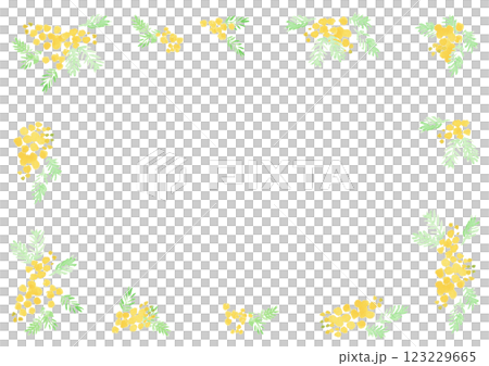 watercolor mimosa frame watercolor mimosa frame 123229665