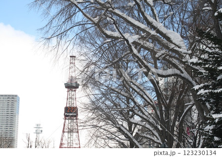 冬の札幌テレビ塔 123230134