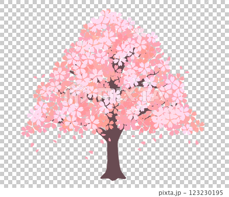 Illustration material of cherry blossom tree Pink Flower Spring Illustration material of cherry blossom tree Pink Flower Spring 123230195