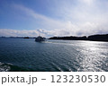 青い空の中を走る観光船 123230530