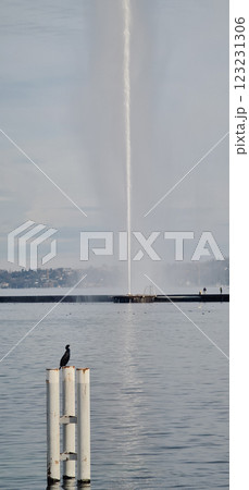 The Geneva Water Fountain "Jet d'Eau" over the Leman Lake The Geneva Water Fountain "Jet d'Eau" over the Leman Lake 123231306