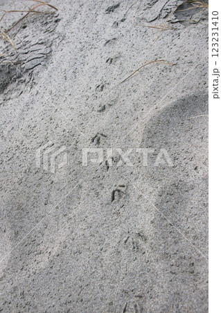 砂浜に付いた沈んだ足跡 砂浜に付いた沈んだ足跡 123231410