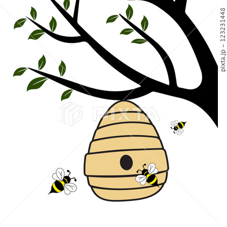 beehive on a tree 123231448