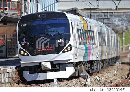 中央本線 上野原 JR東日本 E257系 M-111編成(松本) あずさ かいじ 中央本線 上野原 JR東日本 E257系 M-111編成(松本) あずさ かいじ 123231474