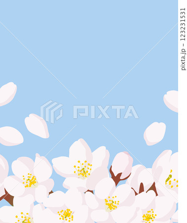 満開の桜の花のフレーム画像 満開の桜の花のフレーム画像 123231531
