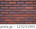 レトロなレンガの壁 123231905