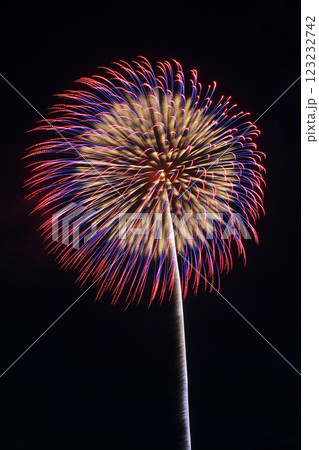 山形 大石田祭最上川花火大会 尺玉 123232742