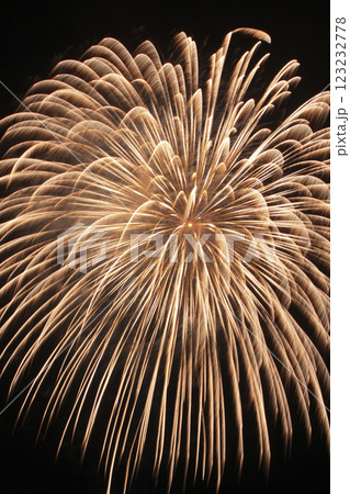 山形 大石田祭最上川花火大会 二尺玉 123232778