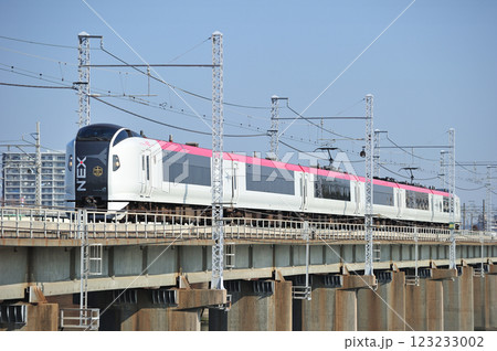 東海道本線　茅ヶ崎－平塚　JR東日本　E259系　Ne021編成（鎌倉）　マリンエクスプレス踊り子 123233002