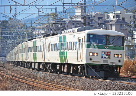 東海道本線　真鶴　JR東日本　185系　C1編成（大宮）　踊り子 123233100