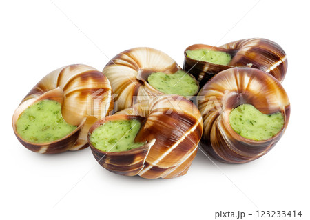 escargot snail filled with garlic and parsley butter isolated on white background 123233414