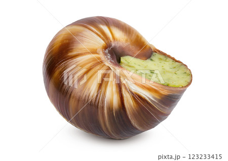 escargot snail filled with garlic and parsley butter isolated on white background 123233415