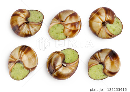 escargot snail filled with garlic and parsley butter isolated on white background. Top view. Flat lay 123233416