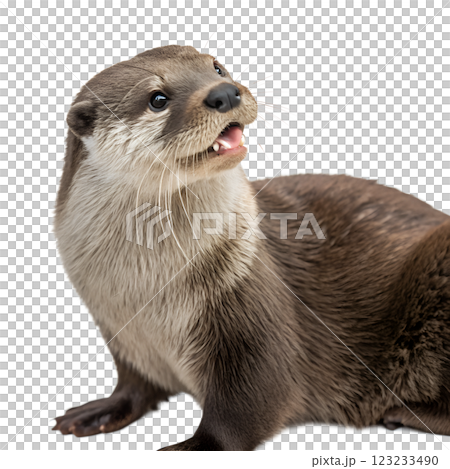 Otter animal isolated on the transparent background 123233490