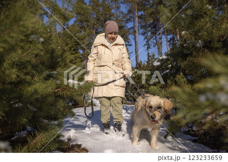 Elderly woman walking a Golden Retriever in a snowy forest on a sunny winter day, enjoying nature and fresh air. Elderly woman walking a Golden Retriever in a snowy forest on a sunny winter day, enjoying nature and fresh air. 123233659