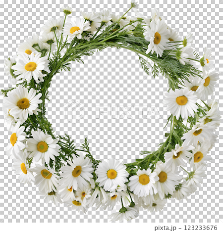 Wreath of blooming white daisies isolated on the transparent background Wreath of blooming white daisies isolated on the transparent background 123233676