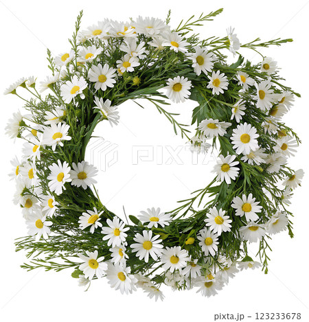 Wreath of blooming white daisies isolated on the transparent background 123233678