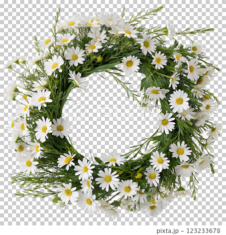 Wreath of blooming white daisies isolated on the transparent background 123233678