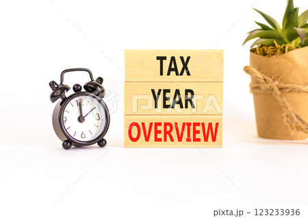 Tax year overview symbol. Concept words Tax year overview on beautiful wooden blocks. Beautiful white background. Black alarm clock. Business tax year overview concept. Copy space. Tax year overview symbol. Concept words Tax year overview on beautiful wooden blocks. Beautiful white background. Black alarm clock. Business tax year overview concept. Copy space. 123233936